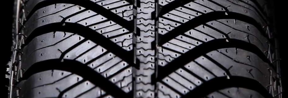 Goodyear Vector 4Seasons G1 (2)